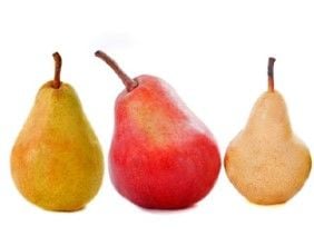 Armut Fidanı Nasıl ve Ne Zaman Dikilir?