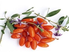 Goji Berry Fidanı Nasıl ve Ne Zaman Dikilir?