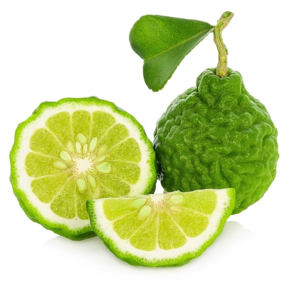 Tüplü Esanslı Kokulu Bergamot Fidanı