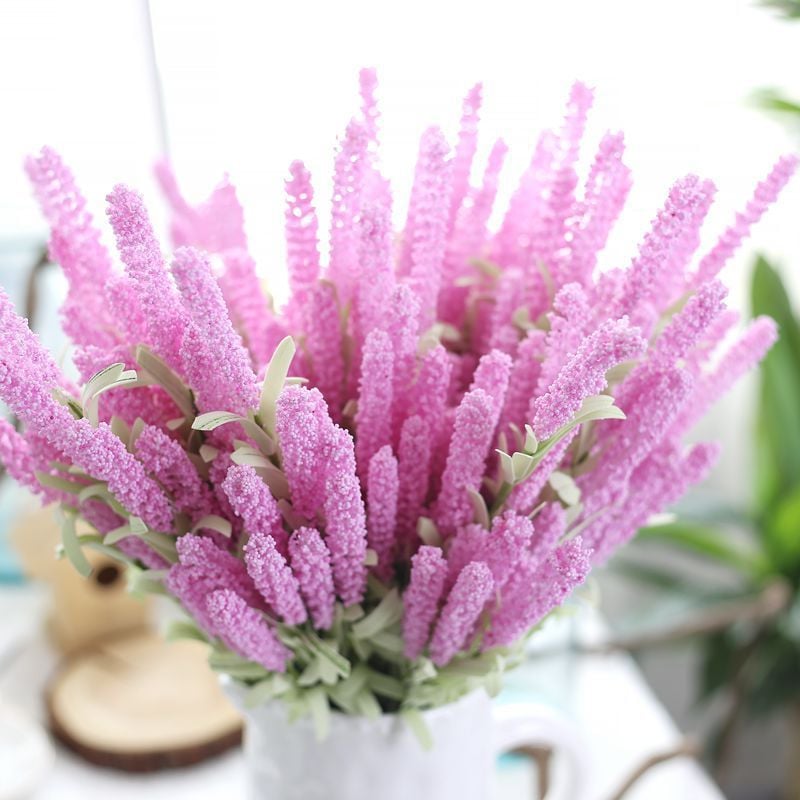 Limonium Sinuatum Deep Rose Deniz Lavantası Tohumu (30 tohum)