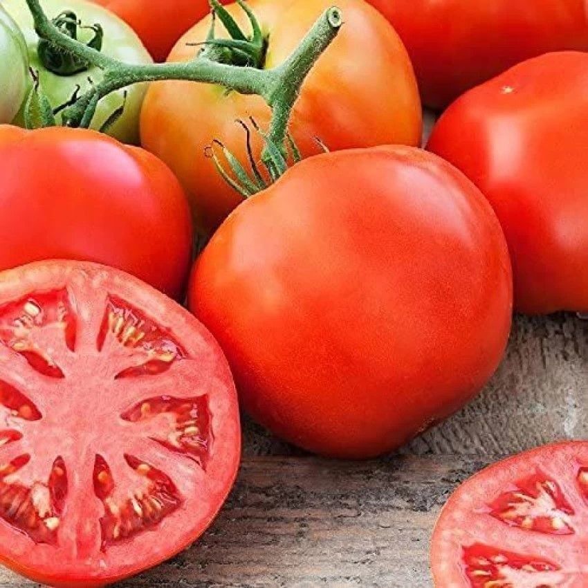 Ata Tohum iri Meyveli Etli Oturak Ancon Domates Tohumu (50 tohum)