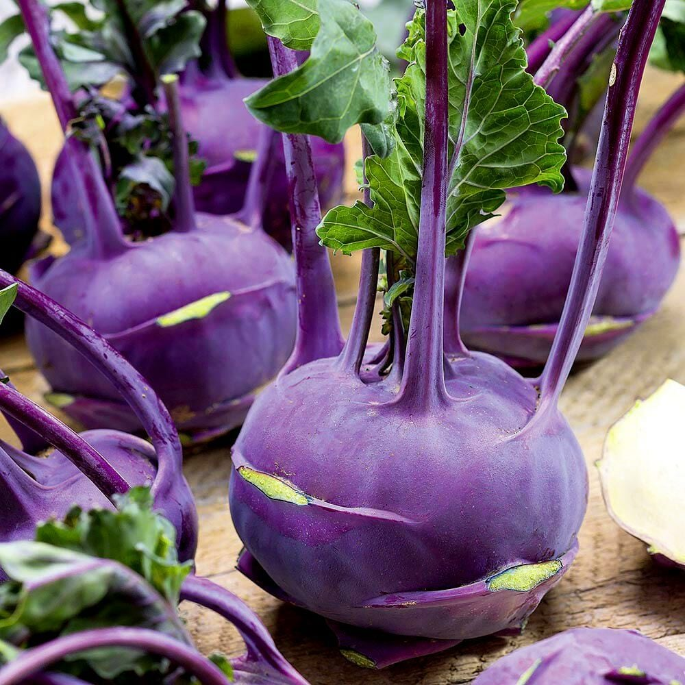 Ata Tohum Mor Kohlrabi (Alabaş) Tohumu (15 Tohum)