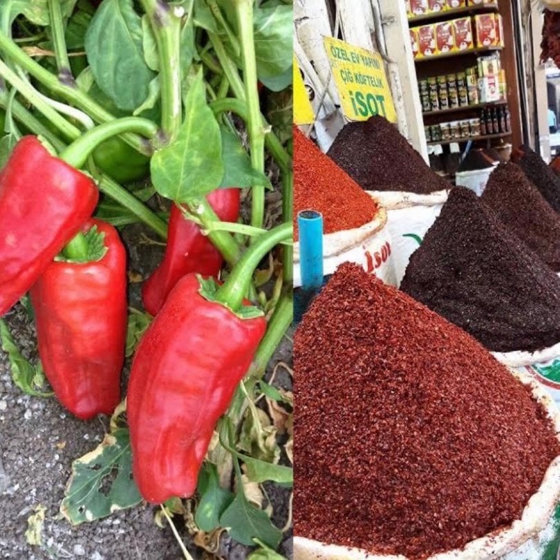 Doğal İsot Acı Urfa Biber Fidesi (5 Adet)