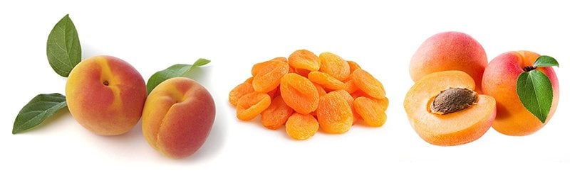 tüplü aşılı kayısı fidanı satın al