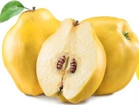 Ayva Fidanı Nasıl ve Ne Zaman Dikilir?