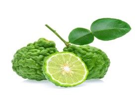 Bergamot Ağacından İlk Meyve Ne Zaman Alınır?