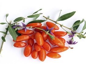 Goji Berry Fidanı Nasıl ve Ne Zaman Dikilir?