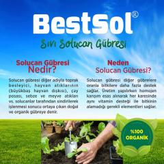 Bestsol Sıvı Solucan Gübresi (5 Litre)