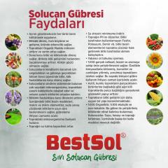 Bestsol Sıvı Solucan Gübresi (5 Litre)