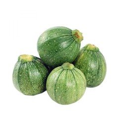 Siyah Dolmalık Kabak Fidesi (5 adet)