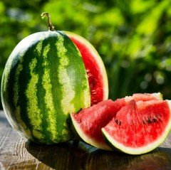 Crimson Sweet Karpuz Fidesi (5 adet)