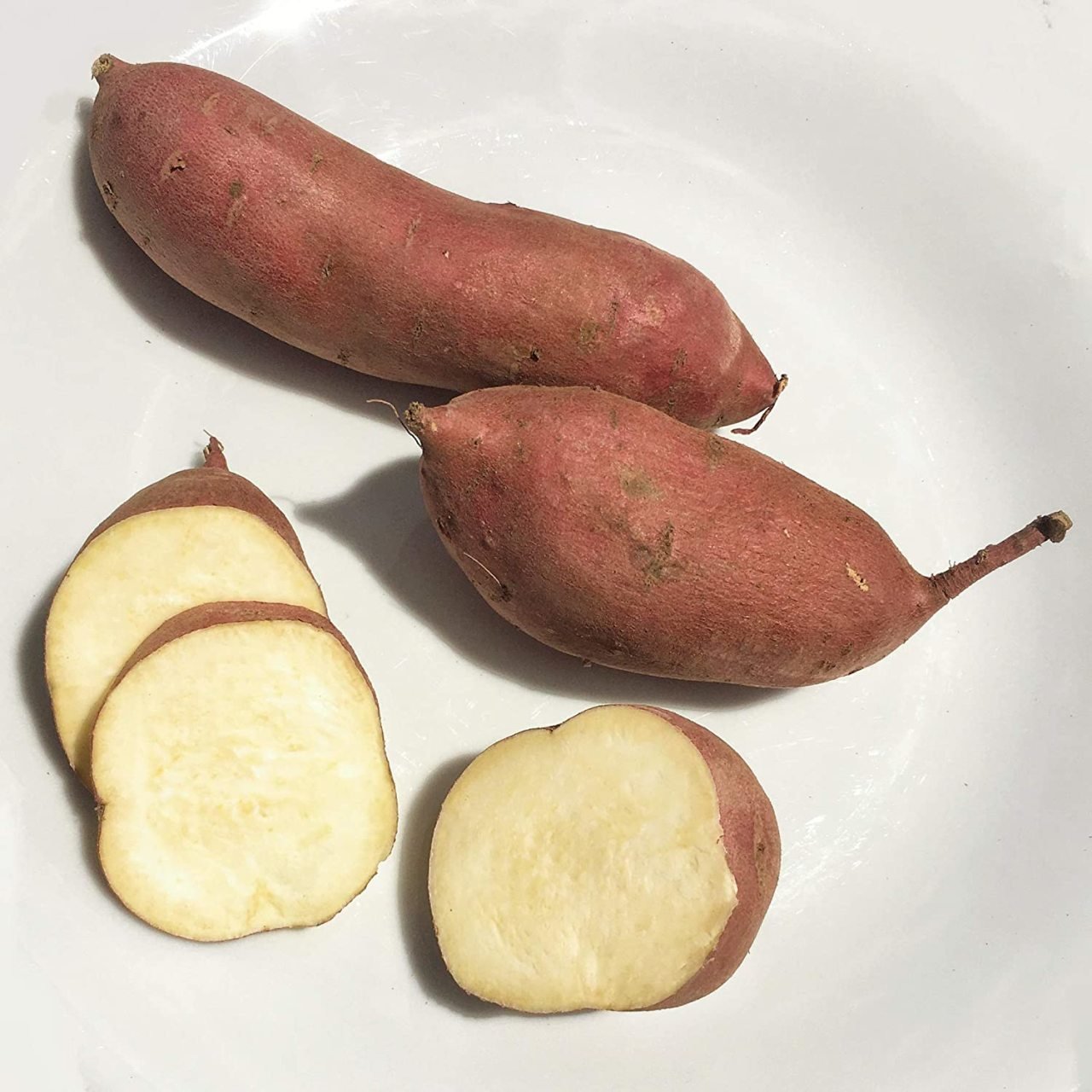 Özel Üretim Kırmızı Tatlı Patates (Sweet Potato) Fidesi (3 Adet)