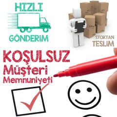 Cotyledon Pendens Sukulent Güneşte Uçları Kızarır Özel Üretim (5.5 Luk Saksıda)
