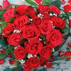 Tüplü Yediveren Hybrid Tea Roses Amore FC Soğuklara Dayanımlı Masal Gülü Fidanı