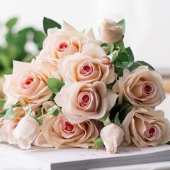 Tüplü Soğuklara Dayanımlı Yediveren Cream White Krem Beyazı Kokulu Gül Fidanı