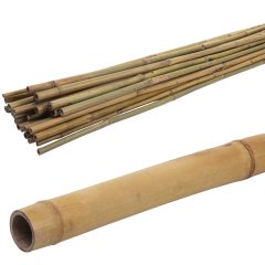 Fidan Dikim Destek Çubuğu 10Adet (140-160cm)
