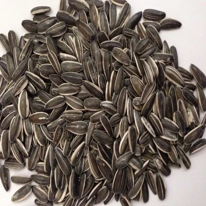 Doğal Siyah Çerezlik Çitlemelik Ayçiçeği Çekirdek Tohumu (2,5 KG)