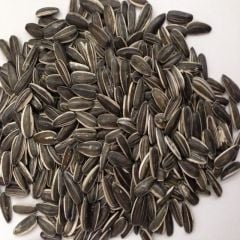 Doğal Siyah Çerezlik Çitlemelik Ayçiçeği Çekirdek Tohumu (2,5 KG)