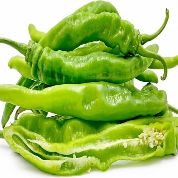 Ata Tohum Geleneksel İtalian Long Hot Chile Acı Biber Tohumu (10 Tohum)
