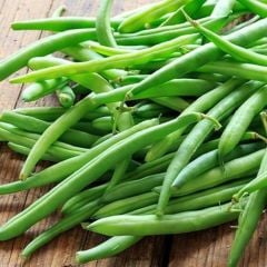 Geleneksel Doğal Tohum Kızılcahamam Sırık Taze Fasulye Tohumu (10 tohum)