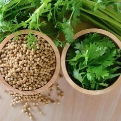 iş Yaprak Doğal Aşotu Kişniş Tohumu (1 kg)