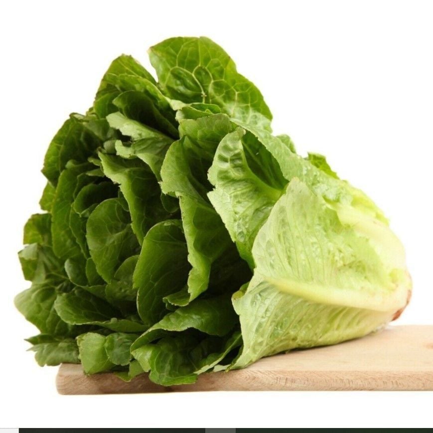 Gelenesel Ata Tohum Yedikule Marul Tohumu (100tohum)