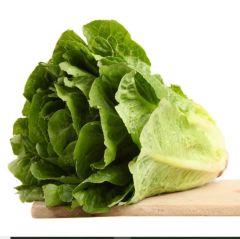 Gelenesel Ata Tohum Yedikule Marul Tohumu (100tohum)