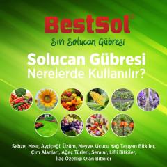 Bestsol Sıvı Solucan Gübresi (1 Litre)