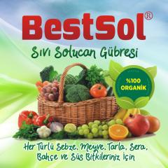 Bestsol Sıvı Solucan Gübresi (1 Litre)