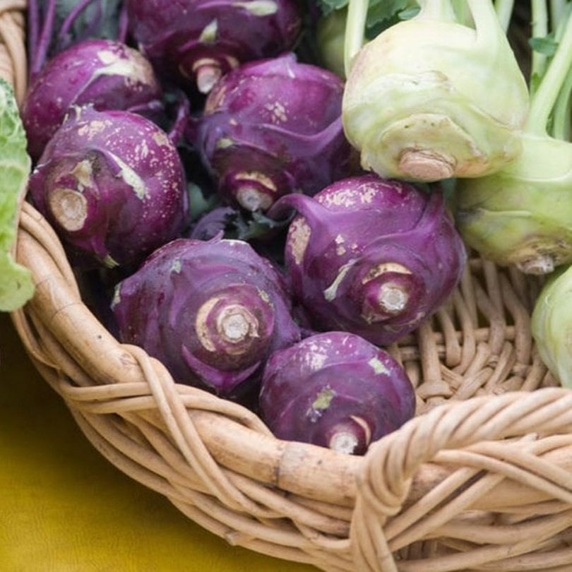 Şifa Kaynağı Kırmızı Alabaş Kohlrabi Fidesi (5 adet)