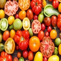 Efe Siyah Çeri Domates Fidesi (10 adet)
